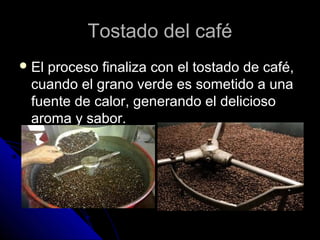 Tostado del caféTostado del café
 El proceso finaliza con el tostado de café,El proceso finaliza con el tostado de café,
cuando el grano verde es sometido a unacuando el grano verde es sometido a una
fuente de calor, generando el deliciosofuente de calor, generando el delicioso
aroma y sabor.aroma y sabor.
 