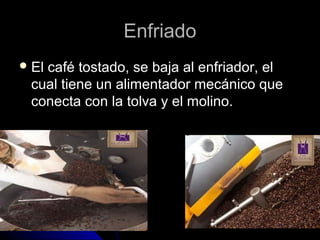 EnfriadoEnfriado
 El café tostado, se baja al enfriador, elEl café tostado, se baja al enfriador, el
cual tiene un alimentador mecánico quecual tiene un alimentador mecánico que
conecta con la tolva y el molino.conecta con la tolva y el molino.
 