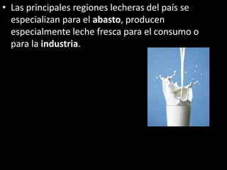 • Las principales regiones lecheras del país se
especializan para el abasto, producen
especialmente leche fresca para el consumo o
para la industria.
 