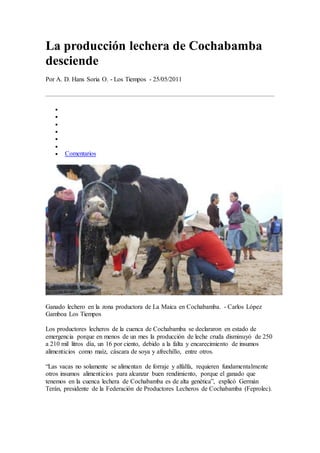 La producción lechera de Cochabamba
desciende
Por A. D. Hans Soria O. - Los Tiempos - 25/05/2011






 Comentarios
Ganado lechero en la zona productora de La Maica en Cochabamba. - Carlos López
Gamboa Los Tiempos
Los productores lecheros de la cuenca de Cochabamba se declararon en estado de
emergencia porque en menos de un mes la producción de leche cruda disminuyó de 250
a 210 mil litros día, un 16 por ciento, debido a la falta y encarecimiento de insumos
alimenticios como maíz, cáscara de soya y afrechillo, entre otros.
“Las vacas no solamente se alimentan de forraje y alfalfa, requieren fundamentalmente
otros insumos alimenticios para alcanzar buen rendimiento, porque el ganado que
tenemos en la cuenca lechera de Cochabamba es de alta genética”, explicó Germán
Terán, presidente de la Federación de Productores Lecheros de Cochabamba (Feprolec).
 