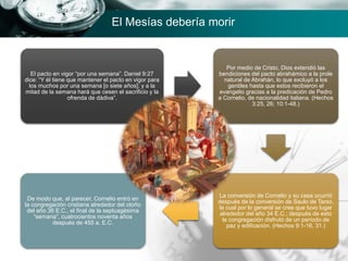 El pacto en vigor “por una semana”. Daniel 9:27
dice: “Y él tiene que mantener el pacto en vigor para
los muchos por una semana [o siete años]; y a la
mitad de la semana hará que cesen el sacrificio y la
ofrenda de dádiva”.
Por medio de Cristo, Dios extendió las
bendiciones del pacto abrahámico a la prole
natural de Abrahán, lo que excluyó a los
gentiles hasta que estos recibieron el
evangelio gracias a la predicación de Pedro
a Cornelio, de nacionalidad italiana. (Hechos
3:25, 26; 10:1-48.)
La conversión de Cornelio y su casa ocurrió
después de la conversión de Saulo de Tarso,
la cual por lo general se cree que tuvo lugar
alrededor del año 34 E.C.; después de esto
la congregación disfrutó de un período de
paz y edificación. (Hechos 9:1-16, 31.)
De modo que, al parecer, Cornelio entró en
la congregación cristiana alrededor del otoño
del año 36 E.C., el final de la septuagésima
“semana”, cuatrocientos noventa años
después de 455 a. E.C.
El Mesías debería morir
 
