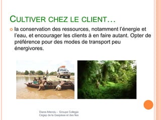 CULTIVER CHEZ LE CLIENT…
   la conservation des ressources, notamment l’énergie et
    l’eau, et encourager les clients à en faire autant. Opter de
    préférence pour des modes de transport peu
    énergivores.




              Diane Attendu - Groupe Collegia
              Cégep de la Gaspésie et des Îles
 