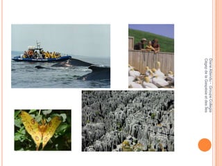 Diane Attendu - Groupe Collegia
        Cégep de la Gaspésie et des Îles
DIVER
 