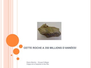 CETTE ROCHE A 350 MILLIONS D’ANNÉES!




 Diane Attendu - Groupe Collegia
 Cégep de la Gaspésie et des Îles
 