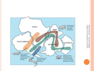 Diane Attendu - Groupe Collegia
Cégep de la Gaspésie et des Îles
 
