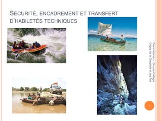 Diane Attendu - Groupe Collegia
                                     Cégep de la Gaspésie et des Îles
SÉCURITÉ, ENCADREMENT ET TRANSFERT
D’HABILETÉS TECHNIQUES
 