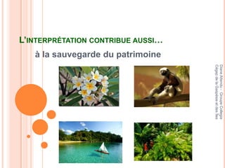 Diane Attendu - Groupe Collegia
                                                                    Cégep de la Gaspésie et des Îles
L’INTERPRÉTATION CONTRIBUE AUSSI…
                                    à la sauvegarde du patrimoine
 