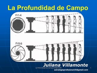 La Profundidad de Campo




                 Juliana Villamonte
       La Profundidad de Campo/JVillamonte                          1
                                estrategiaprofesional19@gmail.com
 