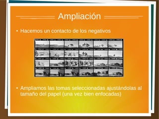 Ampliación
●   Hacemos un contacto de los negativos




●   Ampliamos las tomas seleccionadas ajustándolas al
    tamaño del papel (una vez bien enfocadas)
 