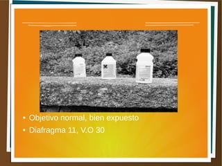 ●   Objetivo normal, bien expuesto
●   Diafragma 11, V.O 30
 