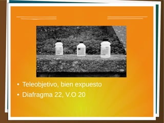 ●   Teleobjetivo, bien expuesto
●   Diafragma 22, V.O 20
 