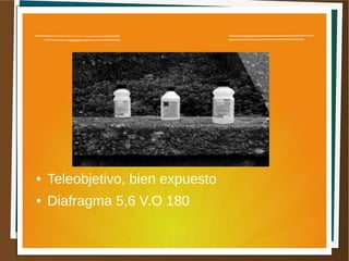 ●   Teleobjetivo, bien expuesto
●   Diafragma 5,6 V.O 180
 
