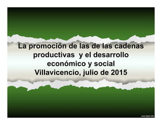La promoción de las de las cadenas
productivas y el desarrollo
económico y social
Villavicencio, julio de 2015
 