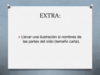 EXTRA:


O Llevar una ilustración si nombres de
  las partes del oído (tamaño carta).
 
