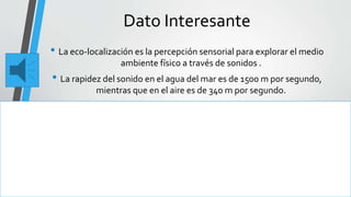 Dato Interesante
• La eco-localización es la percepción sensorial para explorar el medio
ambiente físico a través de sonidos .
• La rapidez del sonido en el agua del mar es de 1500 m por segundo,
mientras que en el aire es de 340 m por segundo.
 
