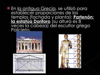 En  la antigua Grecia , se utilizó para establecer proporciones de los templos (fachada y planta):  Partenón ;  la estatúa Doríforo  (su altura es 8 veces la cabeza) del escultor griego Policleto.  