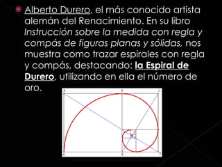 Alberto Durero , el más conocido artista alemán del Renacimiento. En su libro  Instrucción sobre la medida con regla y compás de figuras planas y sólidas,  nos muestra como trazar espirales con regla y compás, destacando:  la Espiral de Durero , utilizando en ella el número de oro.   