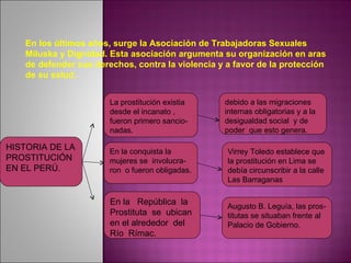 HISTORIA DE LA PROSTITUCIÓN EN EL PERÚ. La prostitución existia desde el incanato , fueron primero sancio-nadas. En la conquista la mujeres se  involucra- ron  o fueron obligadas. En la  República  la Prostituta  se  ubican  en el alrededor  del Río  Rímac. debido a las migraciones internas obligatorias y a la desigualdad social  y de  poder  que esto genera. Virrey Toledo establece que la prostitución en Lima se debía circunscribir a la calle Las Barraganas Augusto B. Leguía, las pros- titutas se situaban frente al Palacio de Gobierno. En los últimos años, surge la Asociación de Trabajadoras Sexuales Miluska y Dignidad. Esta asociación argumenta su organización en aras de defender sus derechos, contra la violencia y a favor de la protección de su salud. 