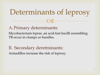 
A.Primary determinants:
Mycobacterium leprae ,an acid-fast bacilli resembling
TB occur in clumps or bundles.
B. Secondary deretminants:
Armadillos increase the risk of leprosy.
7
Determinants of leprosy
 