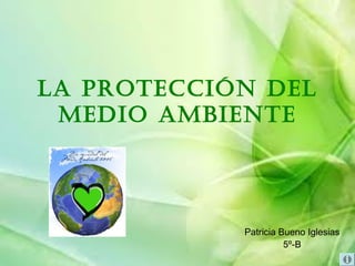 LA PROTECCIÓN DEL
MEDIO AMBIENTE

Patricia Bueno Iglesias
5º-B

 