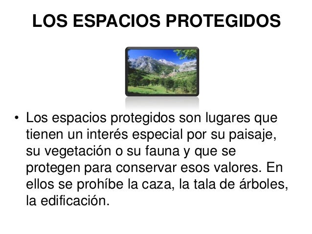 La protección del medio ambiente en ecuador