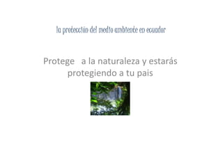 la protección del medio ambiente en ecuador
Protege a la naturaleza y estarás
protegiendo a tu pais
 