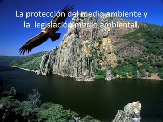 La protección del medio ambiente y la  legislación medio ambiental. 
