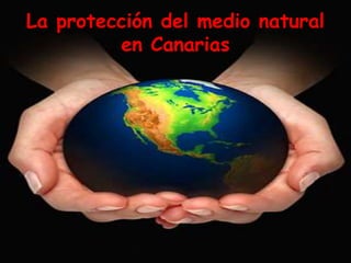 La protección del medio natural
en Canarias
 
