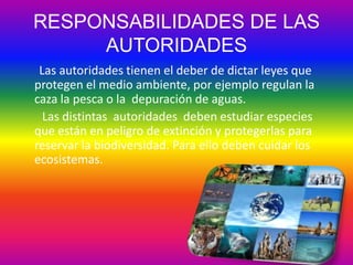 RESPONSABILIDADES DE LAS
AUTORIDADES
Las autoridades tienen el deber de dictar leyes que
protegen el medio ambiente, por ejemplo regulan la
caza la pesca o la depuración de aguas.
Las distintas autoridades deben estudiar especies
que están en peligro de extinción y protegerlas para
reservar la biodiversidad. Para ello deben cuidar los
ecosistemas.

 