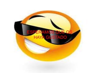 ESPERAMOS QUE OS
HAYA GUSTADO

 