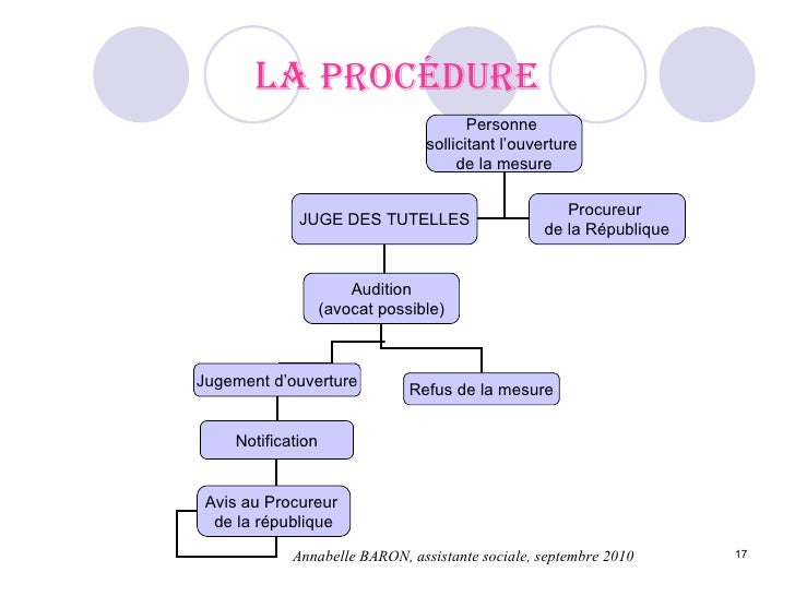 Requete En Vue D'une Protection Juridique D'un Majeur