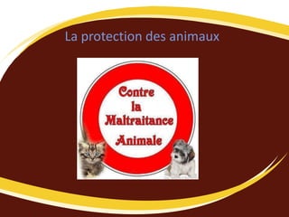 La protection des animaux
 