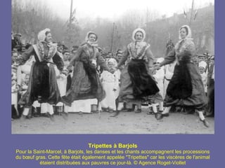 Tripettes à Barjols Pour la Saint-Marcel, à Barjols, les danses et les chants accompagnent les processions du bœuf gras. Cette fête était également appelée "Tripettes" car les viscères de l'animal étaient distribuées aux pauvres ce jour-là. © Agence Roget-Viollet 