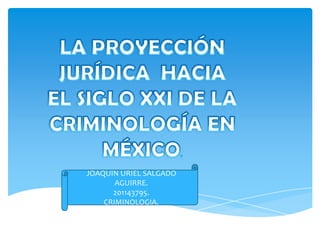 JOAQUIN URIEL SALGADO
       AGUIRRE.
      201143795.
    CRIMINOLOGIA.
 
