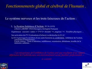 Fonctionnements global et cérébral de l’humain .

Le système nerveux et les trois faisceaux de l’action :

    3, Le Système Inhibiteur d’Action : S I A (1979)
        ( Henri LABORIT 1914 Chirurgien, biologiste Français)
     Expériences souvent « ratées »= P V S = Anxiété ++, angoisse ++. Troubles physiques …
     Sur-activation du P V S (situations d’échecs) va déclencher le S I A !
     Le S I A provoque la sécrétion d’une autre hormone, le CORTISOL : inhibiteur de l’action,
         conviction d’impuissance…
         Cercle vicieux : Perte d’attention, indifférence, soumission, défaitisme, trouble de la
         mémoire, asthénie...




        « Les mécanismes de l’inhibition de l’action sont une résultante d’un rapport
   défectueux de l’individu avec son environnement social, familial, professionnel. »
                                            H LABORIT
 