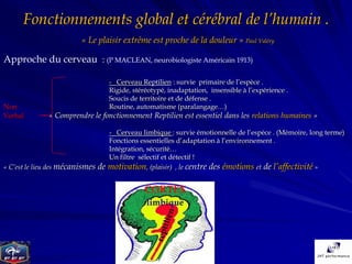 Fonctionnements global et cérébral de l’humain .
                         « Le plaisir extrême est proche de la douleur » Paul Valéry

Approche du cerveau : (P MACLEAN, neurobiologiste Américain 1913)

                                      - Cerveau Reptilien : survie primaire de l’espèce .
                                      Rigide, stéréotypé, inadaptation, insensible à l’expérience .
                                      Soucis de territoire et de défense .
Non                                   Routine, automatisme (paralangage…)
Verbal        « Comprendre le fonctionnement Reptilien est essentiel dans les relations humaines »

                                      - Cerveau limbique : survie émotionnelle de l’espèce . (Mémoire, long terme)
                                      Fonctions essentielles d’adaptation à l’environnement .
                                      Intégration, sécurité…
                                      Un filtre sélectif et détectif !
« C’est le lieu des mécanismes   de   motivation, (plaisir) , le centre des émotions et de l’affectivité »

                                                  CORTEX
                                                  limbique
 