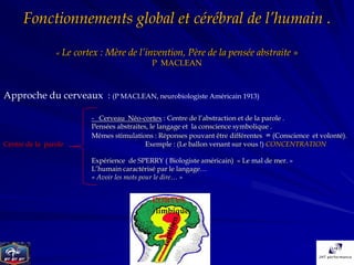 Fonctionnements global et cérébral de l’humain .

                « Le   cortex : Mère de l’invention, Père de la pensée abstraite »
                                              P MACLEAN



Approche du cerveaux : (P MACLEAN, neurobiologiste Américain 1913)

                           - Cerveau Néo-cortex : Centre de l’abstraction et de la parole .
                           Pensées abstraites, le langage et la conscience symbolique .
                           Mêmes stimulations : Réponses pouvant être différentes = (Conscience et volonté).
Centre de la parole                          Exemple : (Le ballon venant sur vous !) CONCENTRATION

                           Expérience de SPERRY ( Biologiste américain) « Le mal de mer. »
                           L’humain caractérisé par le langage…
                           « Avoir les mots pour le dire… »


                                              CORTEX
                                               limbique
 