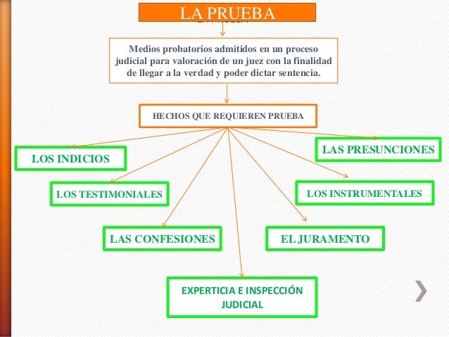 La prueba.Mapa Conceptual. Derecho Probatorio
