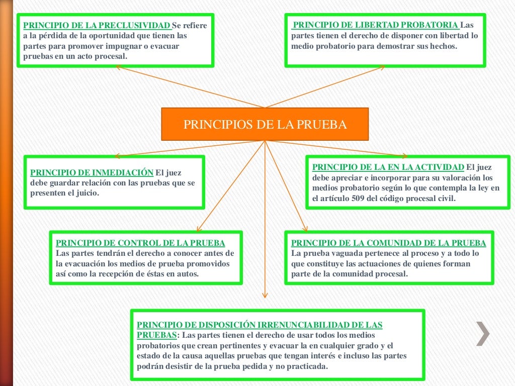 La importancia de la teoría de la prueba en el derecho: Guía completa_teorias Teoria de la prueba en derecho_teorias