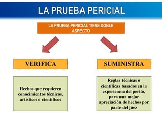 LA PRUEBA PERICIAL TIENE DOBLE 
ASPECTO 
VERIFICA 
Hechos que requieren 
conocimientos técnicos, 
artísticos o científicos 
SUMINISTRA 
Reglas técnicas o 
científicas basados en la 
experiencia del perito, 
para una mejor 
apreciación de hechos por 
parte del juez 
 