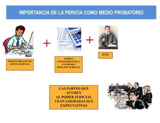 IMPORTANCIA DE LA PERICIA COMO MMEEDDIIOO PPRROOBBAATTOORRIIOO 
JUEZ 
APORTA 
CONOCIMIENTOS A 
FAVOR DEL 
PROCESO JUDICIAL 
PERITO ÓRGANO DE 
APOYO JUDICIAL 
+ 
+ 
LAS PARTES QUE 
ACUDEN 
AL PODER JUDICIAL 
VEAN LOGRADAS SUS 
EXPECTATIVAS 
 