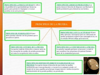 La prueba principios