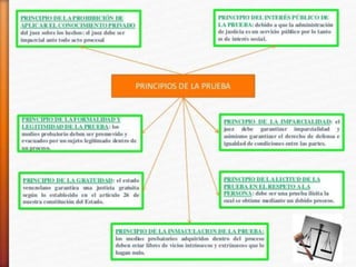 La prueba principios