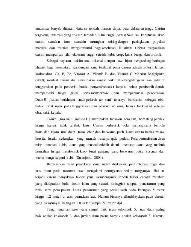 Budidaya Tanaman Sawi Putih Pdf Merge