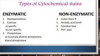 How To Calculate Lap Score _ Hematology – IXWPY