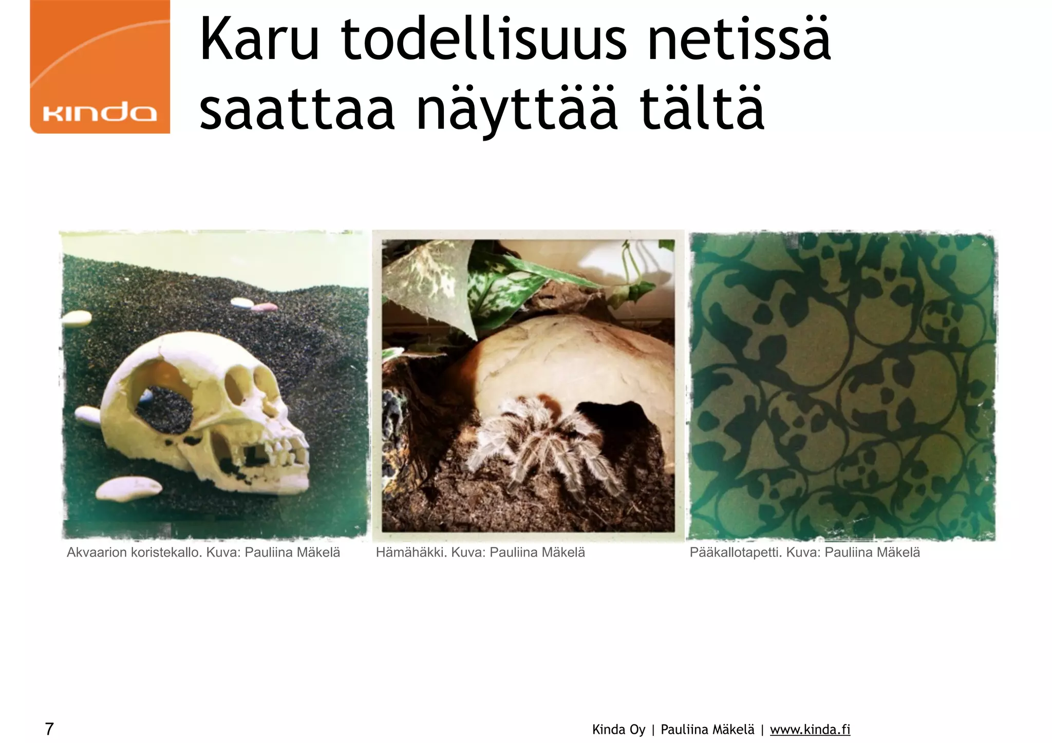 Karu todellisuus netissä
saattaa näyttää tältä

Akvaarion koristekallo. Kuva: Pauliina Mäkelä

7

Hämähäkki. Kuva: Pauliina Mäkelä

Pääkallotapetti. Kuva: Pauliina Mäkelä

Kinda Oy | Pauliina Mäkelä | www.kinda.fi

 