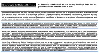 Embriología del Sistema Nervioso El desarrollo embrionario del SN es muy complejo pero este se
puede resumir en 4 etapas como lo son:
Primera Etapa la Formación del Tejido Precursor: cuando ocurre la constitución del cigoto que es la primera célula de un ser vivo se formaran
otras que darán paso a la creación de un embrión el cual tendrá 3 capas germinativas que causaran la constitución de los tejidos, la primera
etapa es la de endodermo se formara el sistema digestivo, respiratorio, glándulas y otros, posterior viene la etapa de Mesodermo se forma la
piel, el sistema cardiovascular, urinario, muscular y reproductor y finalmente se encuentra la de ectodermo aquí se formara parte del tejido
nervioso siendo esto lo preliminar del Sistema Nervioso.
Segunda Fase la Diferenciación Neuronal: esta comprende la neurolacion del embrión y la formación del Tubo Neural y la Cresta Neural las
cuales surgen de la constricción de la placa neuronal , la constricción dura 5 días y al final se forma la cresta y el tubo este ultimo posee 2
aperturas una llamada neuroporo rostral de donde se formara el cerebro y otra apertura llamada neuroporo caudal
Tercera Fase desarrollo del Sistema Nervioso Central: en este periodo el tubo neural se cierra y se va dilatando lo que da lugar al prosencéfalo ,
mesencéfalo y el rombencéfalo. El prosencéfalo se desarrolla y da lugar a 2 vesículas encefálicas como lo son el telencéfalo y el diencéfalo de
este ultimo se derivarán los futuros hemisferios cerebrales y ganglios basales. Mientras que del diencéfalo surge el tálamo e hipotálamo, del
mesencéfalo derivará la parte del tronco encefálico entre el tálamo y el puente. Y finalmente del rombencéfalo surge el metencéfalo, cerebelo y
mielencéfalo, que dará lugar al bulbo raquídeo y la médula espinal.
Cuarta Fase del Desarrollo Sistema Nervioso Periférico: esta fase se da paralelamente y se relaciona con el mesodermo etapa donde se
desarrollar la piel y músculos en los cuales hay vías nerviosas que conectan al SNC con receptores sensitivos en este periodo surgen las vías
nerviosas periféricas. Alteraciones en el Desarrollo del Sistema Nervioso Niño con Microencefalia Durante el Desarrollo Sistema Nervioso
pueden surgir una serie de alteraciones que traigan una serie de consecuencias neurológicas y psicomotoras para las personas siendo las
alteraciones mas comunes a nivel medico las siguientes: Microencefalia : es un trastorno como consecuencia de la poca proliferación celular
que conlleva a que la cabeza sea mas pequeña en comparación con otro niño de su edad y sexo.
 