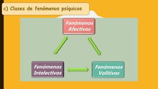 c) Clases de fenómenos psíquicos
 