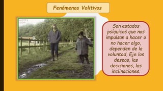 Fenómenos Volitivos
Son estados
psíquicos que nos
impulsan a hacer o
no hacer algo,
dependen de la
voluntad, Eje los
deseos, las
decisiones, las
inclinaciones.
 