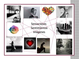 Sensaciones
Sentimientos
Imágenes
 